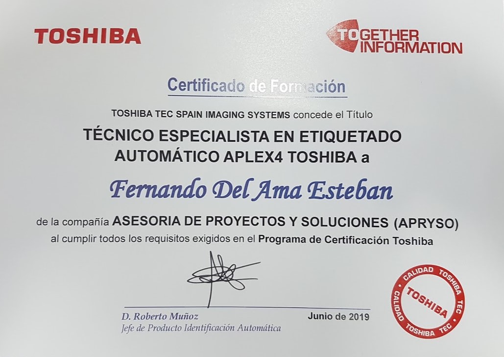 curso toshiba